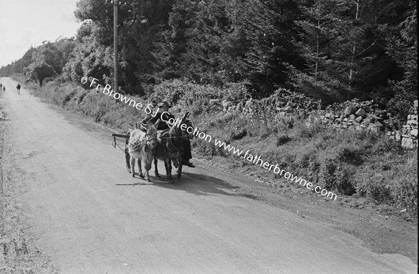 ON THE ROAD NEAR SCARIFF  DONKEY TEAM